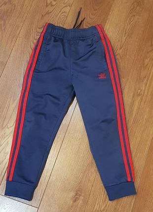Штани спорт adidas