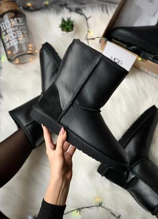 Уги ugg classic short
 угги