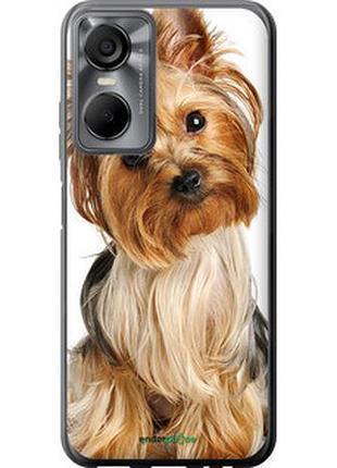 Чохол на tecno pop 6 pro be8 йоркширський тер'єр із хвостиком "930u-2929-7673"