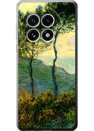 Чохол на oneplus 13 5g клод моне "1193u-3875-7673"