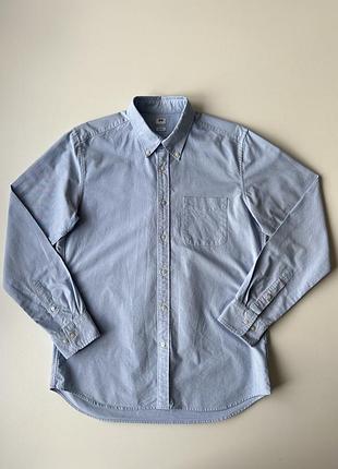 Uniqlo slim fit oxford чоловіча сорочка l блакитна 100% бавовна