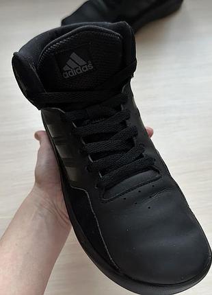 Кросівки хайтопи 6