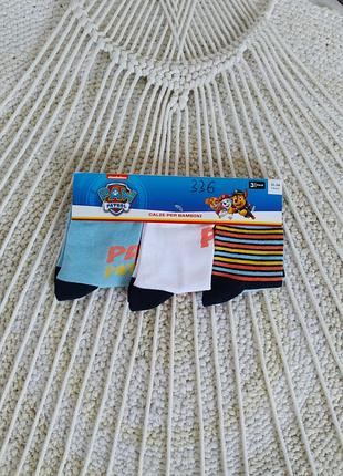 Набор носчков