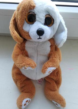 Ty м'яка іграшка песик глазастик в гарному стані. без нюансів. довжина - 21 см