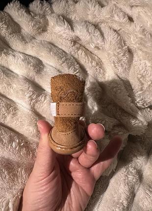 Взуття для собаки маленької породи