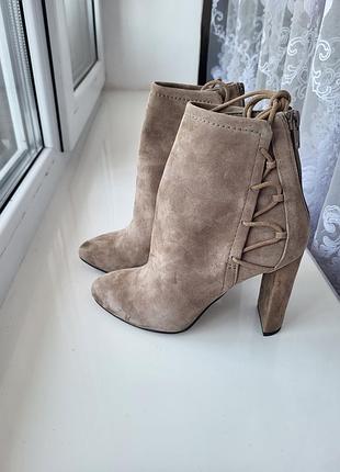 Ботильоны aldo 36 | натуральная замша | каблук | | taupe