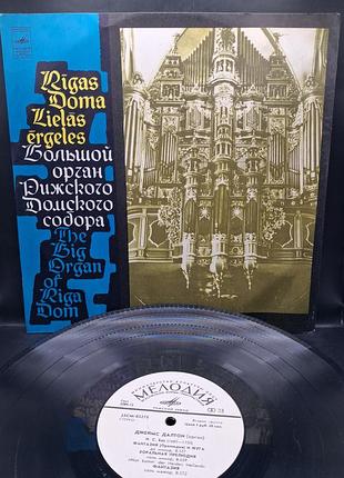 Джеймс далтон орган / платье /винил /vinyl /vintage / классика