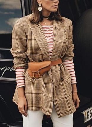 Реглан в полоску від mango, р.xs 9