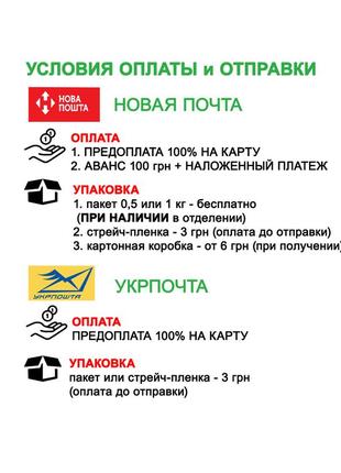 2-4 роки піжама для дівчинки домашній одяг штани лонгслів футболка довгий рукав реглан штаніки дом4 фото