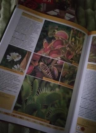 Кімнатні рослини. 3 книги8 фото