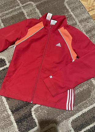 Вітровка (кофта) adidas для спорту