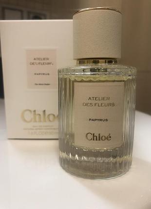 Chloe atelier des fleurs papyrus