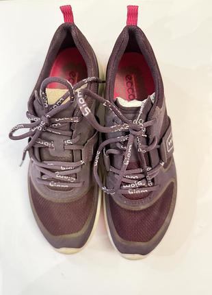 Кросівки ecco