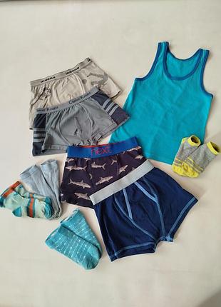 Пакетом трусы боксеры, носочки и маечка на 5-6 лет.
