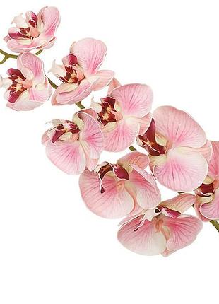 Декоративна орхідея з латексу ( 9 квіток) 15*103см, колір - рожевий товар від виробника