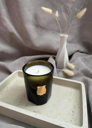 Trudon ernesto candle 70g, свічка, аромат, ароматизатор, парфумована свічка, подарунок