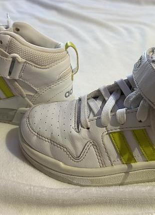 Взуття кросівки adidas