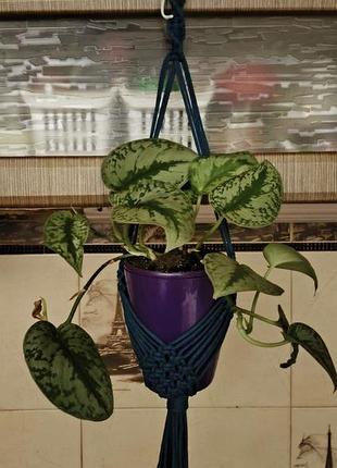 🌿 підвісне кашпо в техніці макраме 🌿