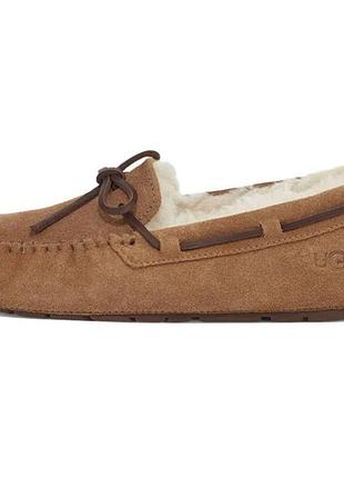 Тапочки жіночі ugg dakota
