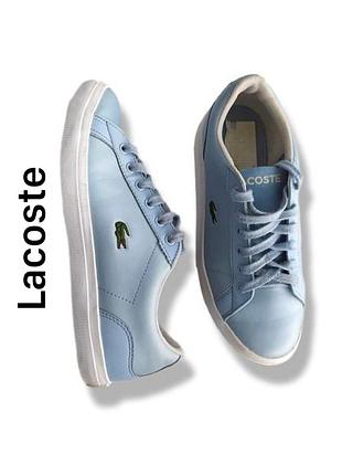 Сникеры кроссовки кеды lacoste