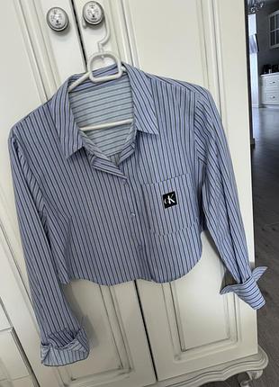 Рубашку укорочена over оверсайз блакитна в смужку жіноча блузка сорочка