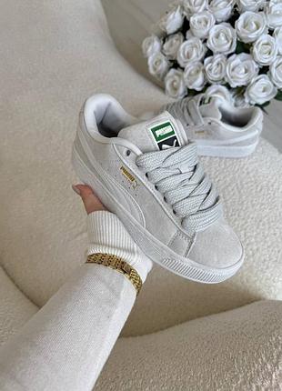 Кросівки puma