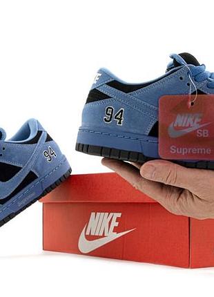 Sb dunk low 6