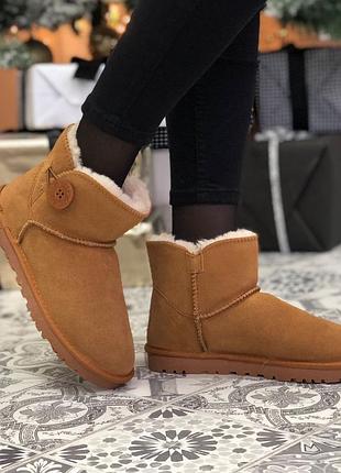 Сапоги женские угг ugg