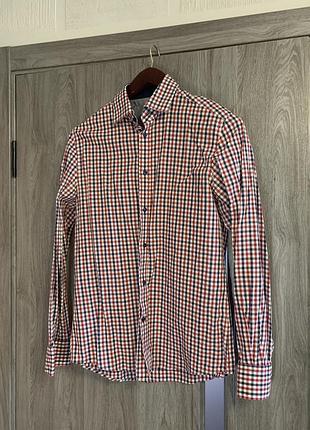 Сорочка в клітинку чоловіча