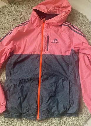 Витрівка олімпійка adidas