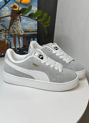 Стильные модные замшевые кроссовки