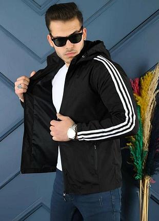 Вітровка чоловіча