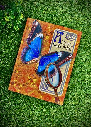 Атлас 🦋 бабочек иллюстрированная энциклопедия широкий формат комахи метелики науково-популярна