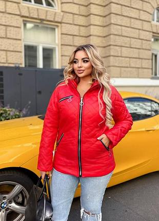 Куртка весенняя, цвет черный, красный, голубой, зеленый, оливка, размеры от 48 до 70 5