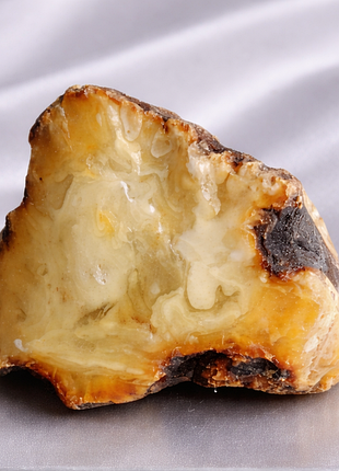 Бурштин. янтарь. amber