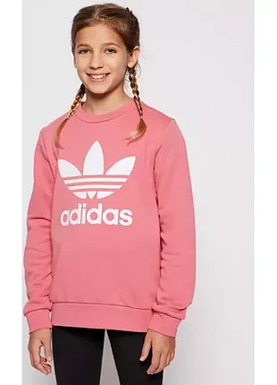 Дитяча толстовка з трилисником кофта світшот adidas originals