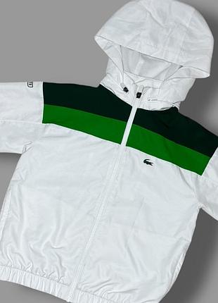 Відправка lacoste ( туреччина ) стан ідеальний