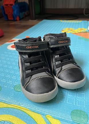Хайтопи geox