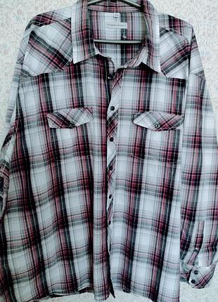 Батал!! мужская рубашка, ширина 158, коттон.