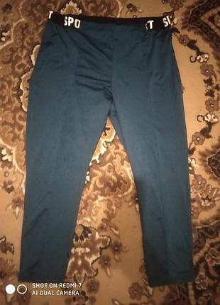 Спортивные штаны- леггинсы 54 р.