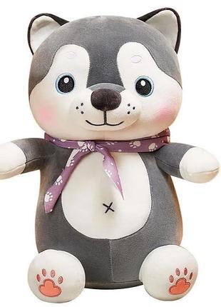 Дитяча м'яка іграшка "собачка" l1131 іграшка з пледом, розмір 50 см