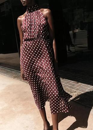 Бордова сукня zara сукня міді в горошок сукня без рукавів сукня хомут сукня середньої довжини бордова сукня у горошок сукня в гороховий принт