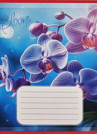 Зошит учнівський "орхідеї" 018-530261k-3 в клітинку, 18 аркушів