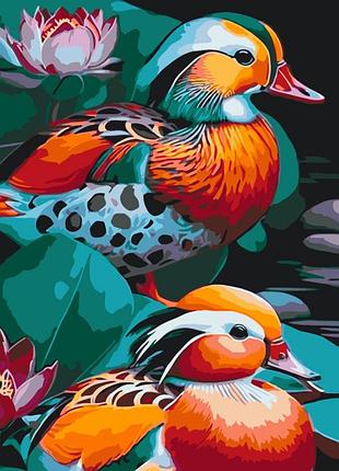Картина за номерами "качки мандаринки" 11717-ac 40х50 см