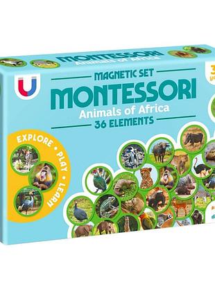 Дитячий магнітний набір монтесорі "тварини на континентах: африка" 200284, 36 елементів