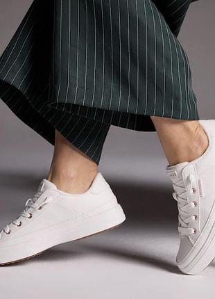 Жіночі кросівки skechers