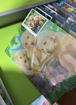 Алмазна мозаїка 2