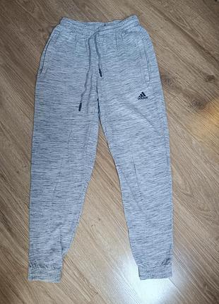 Спортивные штаны adidas