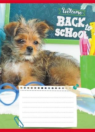 Зошит учнівський "собака студент" 018-540178l-5 в лінію, 18 аркушів