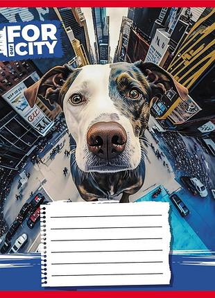 Зошит учнівський "собака в місті" 024-560077l-1 в лінію, 24 аркуші
